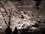 DSCN2970.JPG